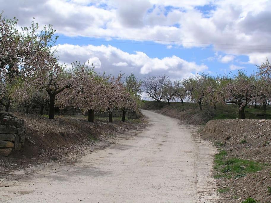 Casa Egipcia Preciosa Casa Centenaria En El Camino De Santiago Torres del Rio Dış mekan fotoğraf